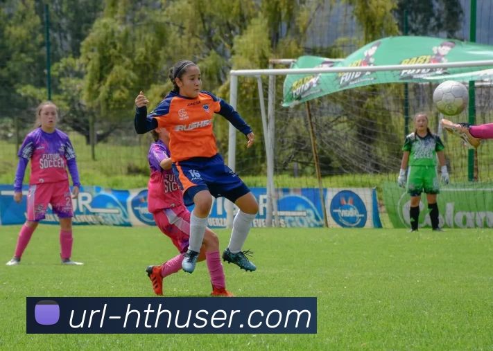 华体会平台生态图